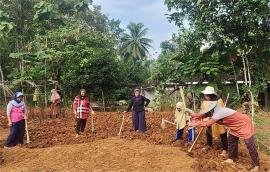 Kerja Bakti Demplot KWT Mandiri Ngringin